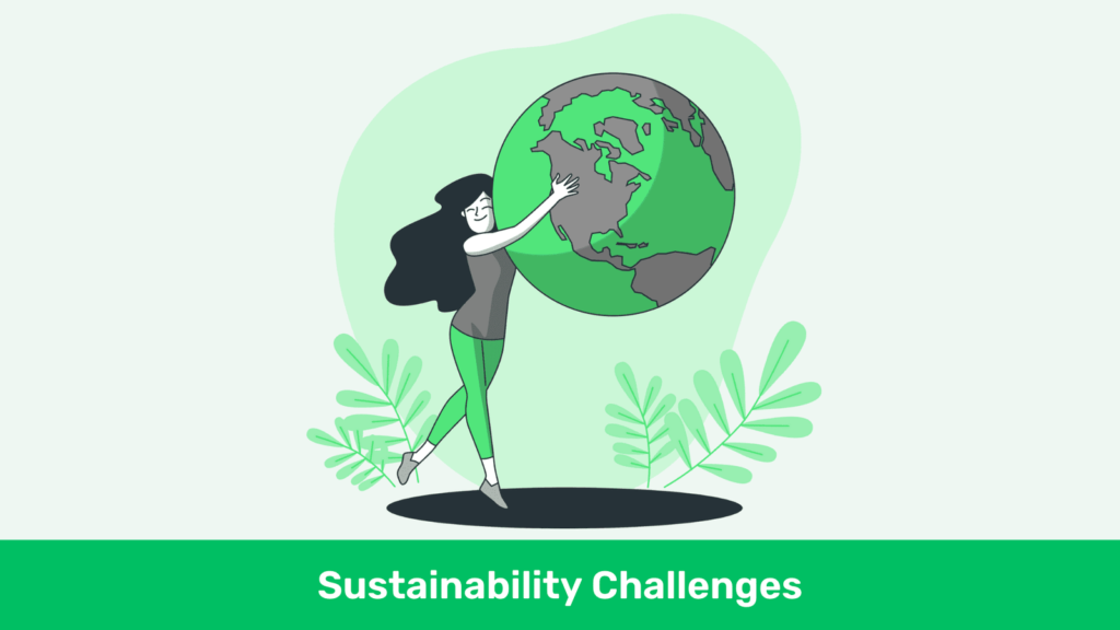 sustainability challenges
